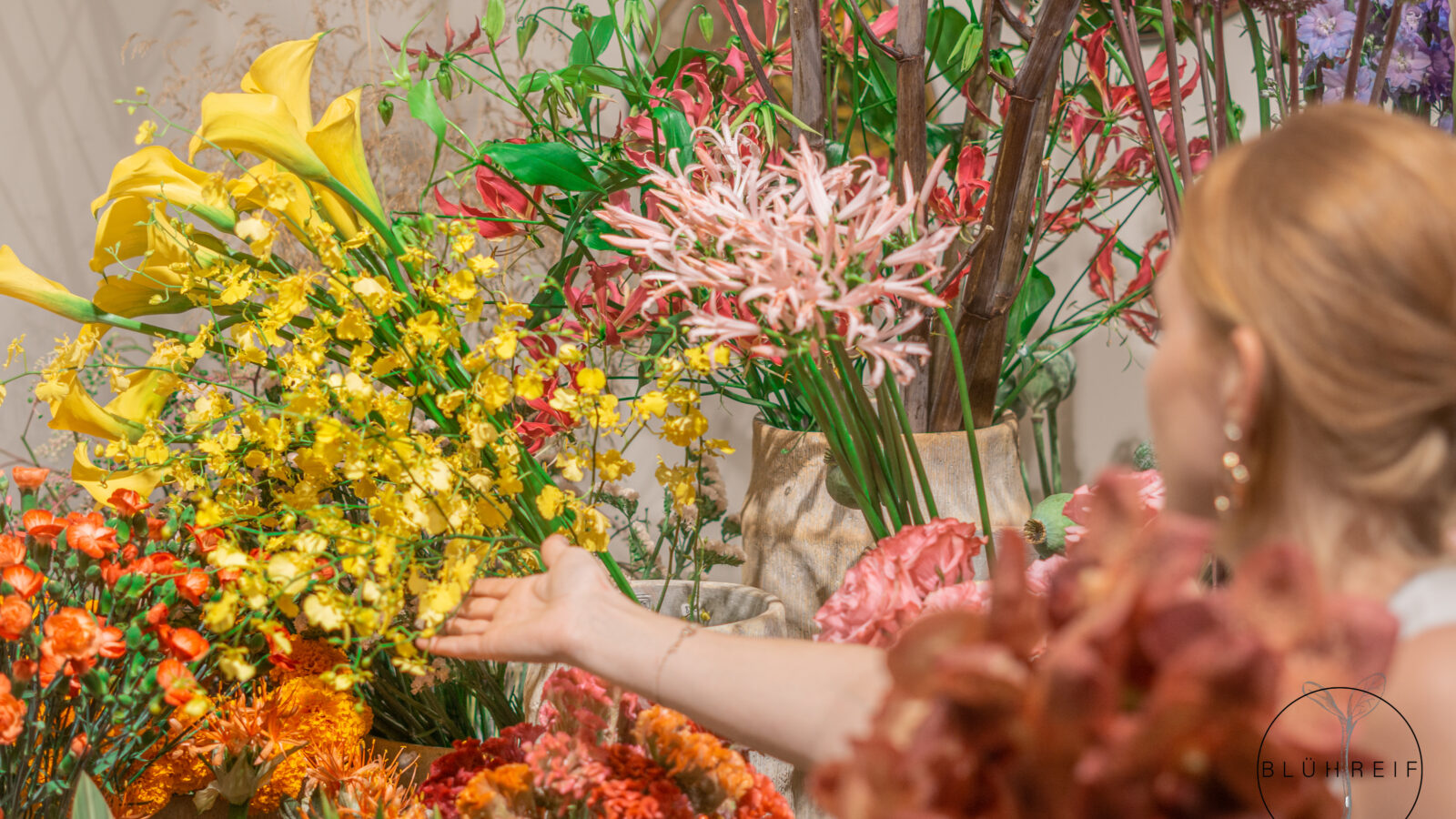 Schnittblumen Bereich